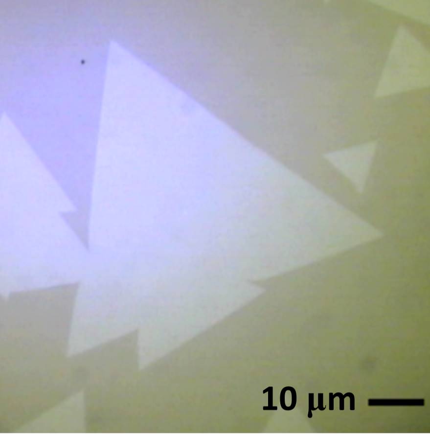 原子層材料の物性研究と機能性素子開発